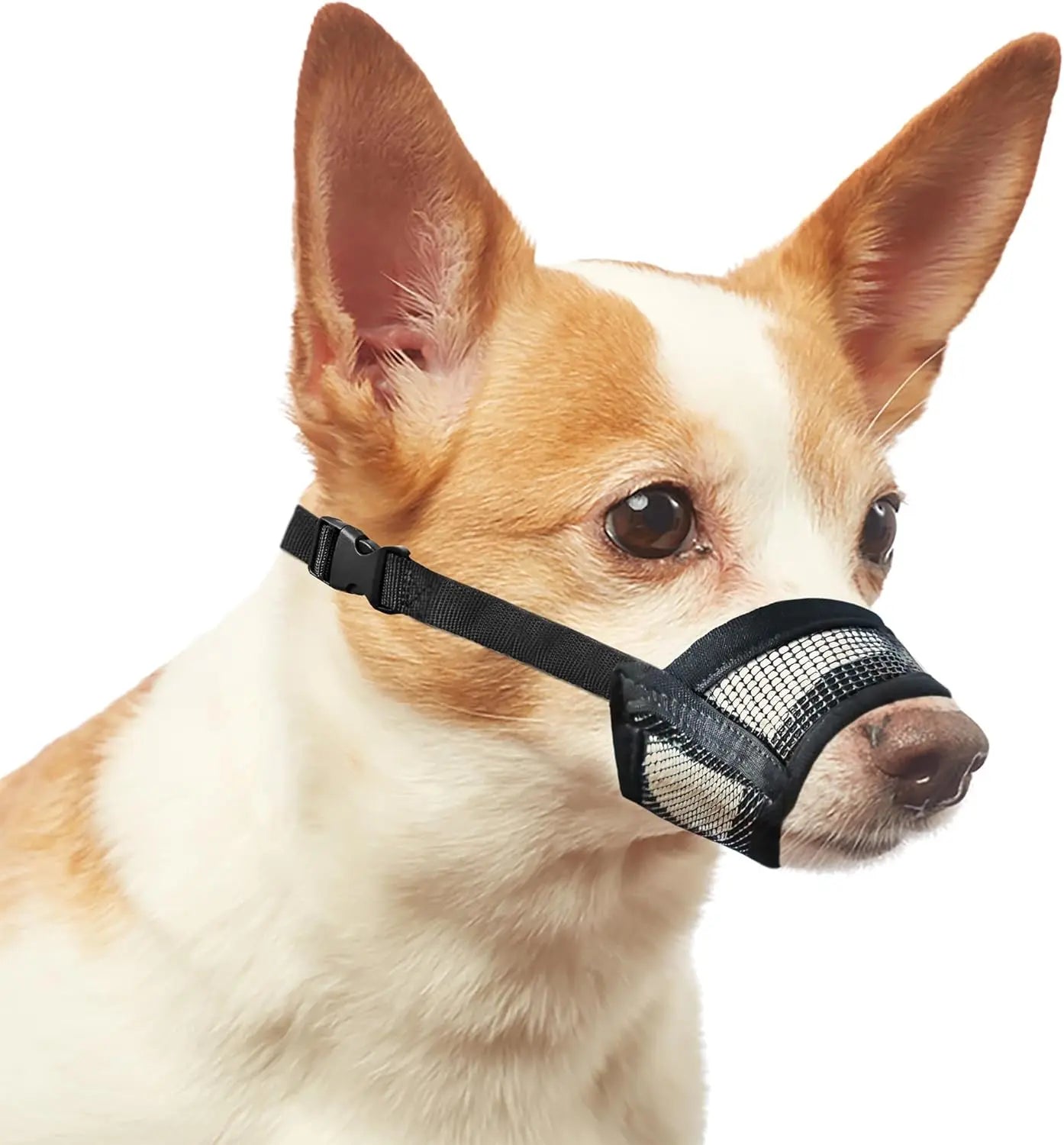 Adjustable Air Mesh Dog Muzzle for Multiple Breeds | Effective Solution for Biting, Scavenging, Licking, and Chewing