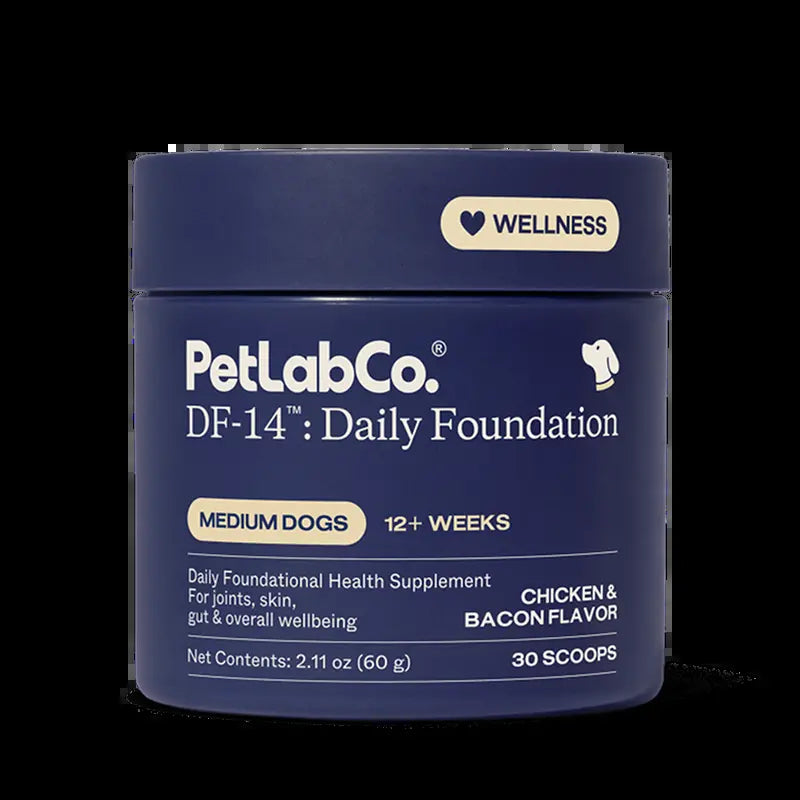 DF-14 Daily Foundation: Comprehensive 14-in-1 Dog Supplement Powder for Simplified Longevity Support with One Daily Scoop
