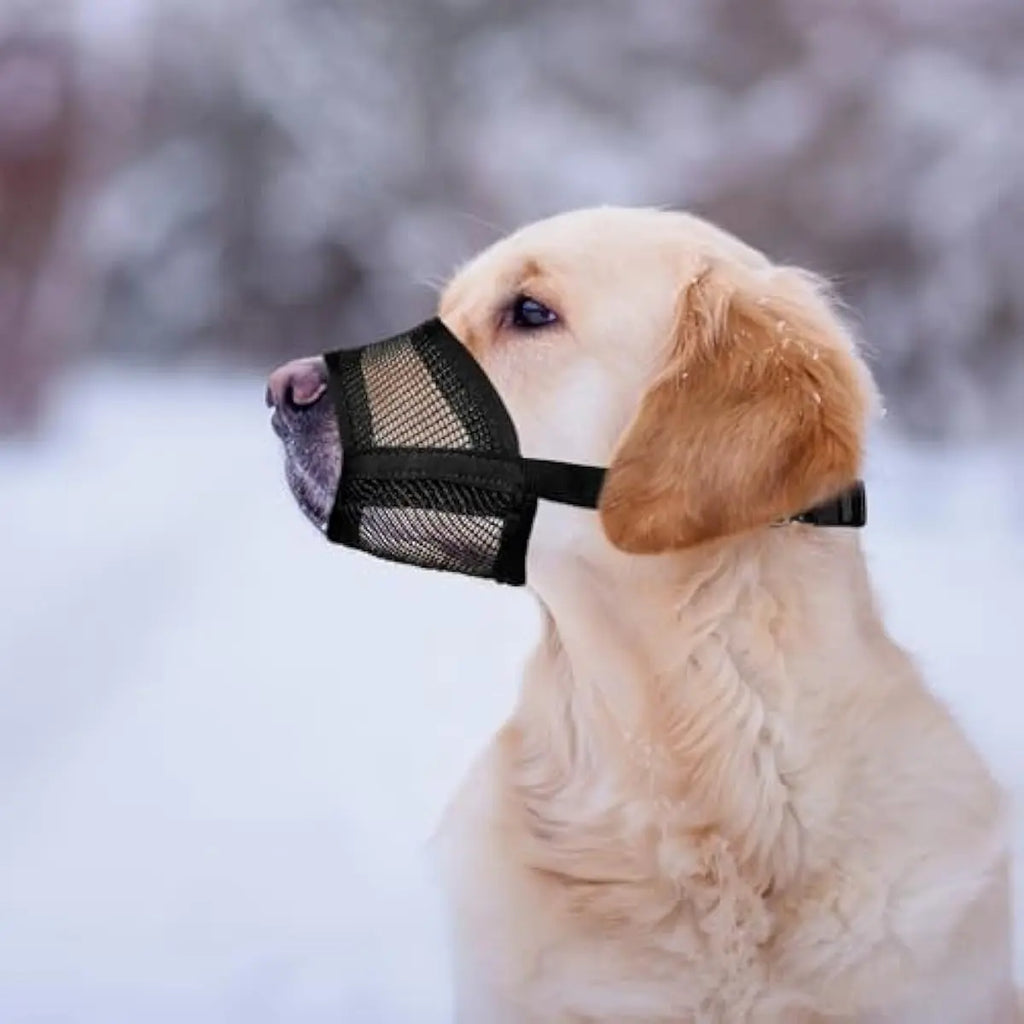 Adjustable Air Mesh Dog Muzzle for Multiple Breeds | Effective Solution for Biting, Scavenging, Licking, and Chewing