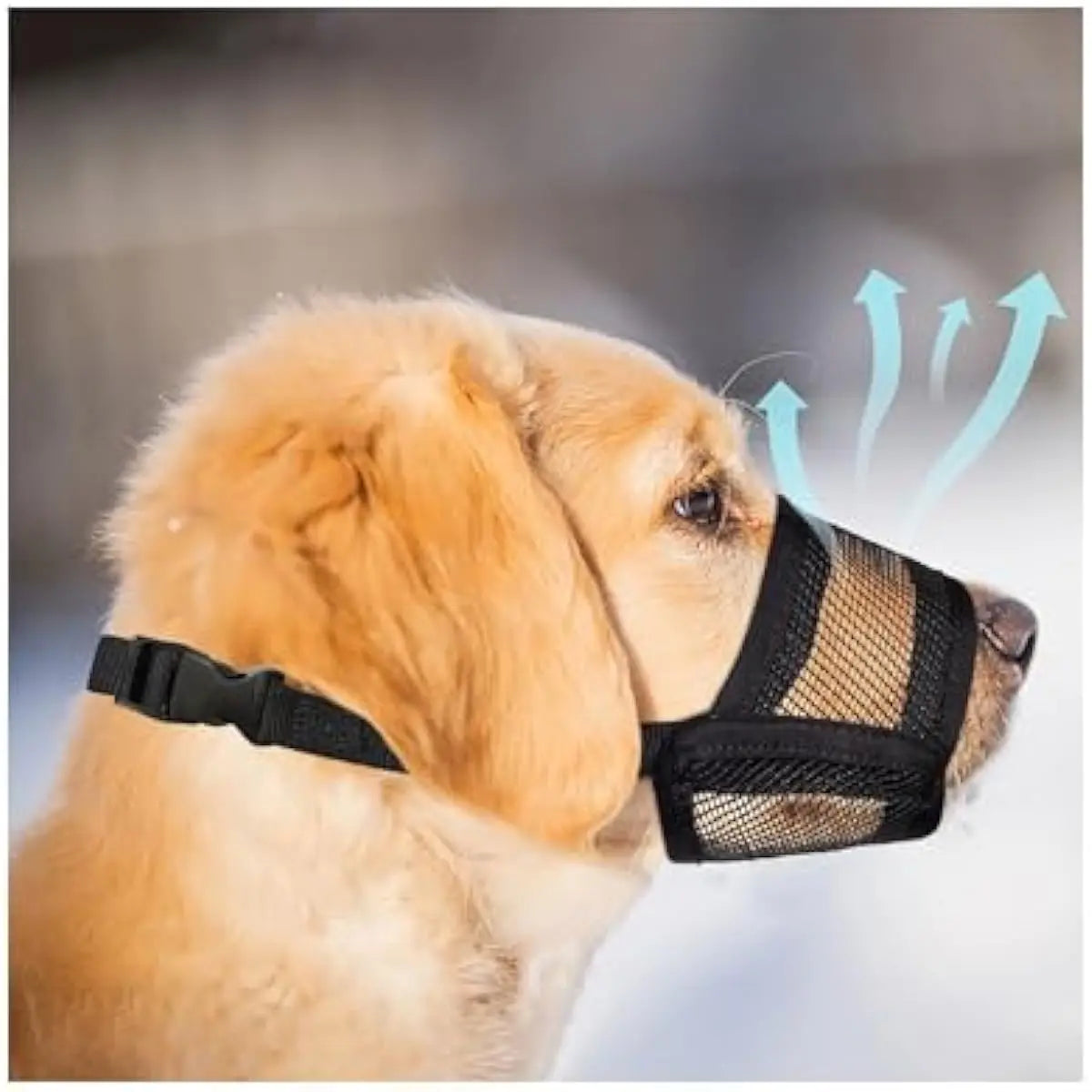 Adjustable Air Mesh Dog Muzzle for Multiple Breeds | Effective Solution for Biting, Scavenging, Licking, and Chewing