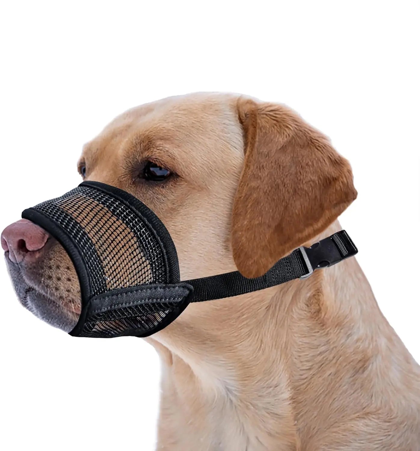 Adjustable Air Mesh Dog Muzzle for Multiple Breeds | Effective Solution for Biting, Scavenging, Licking, and Chewing