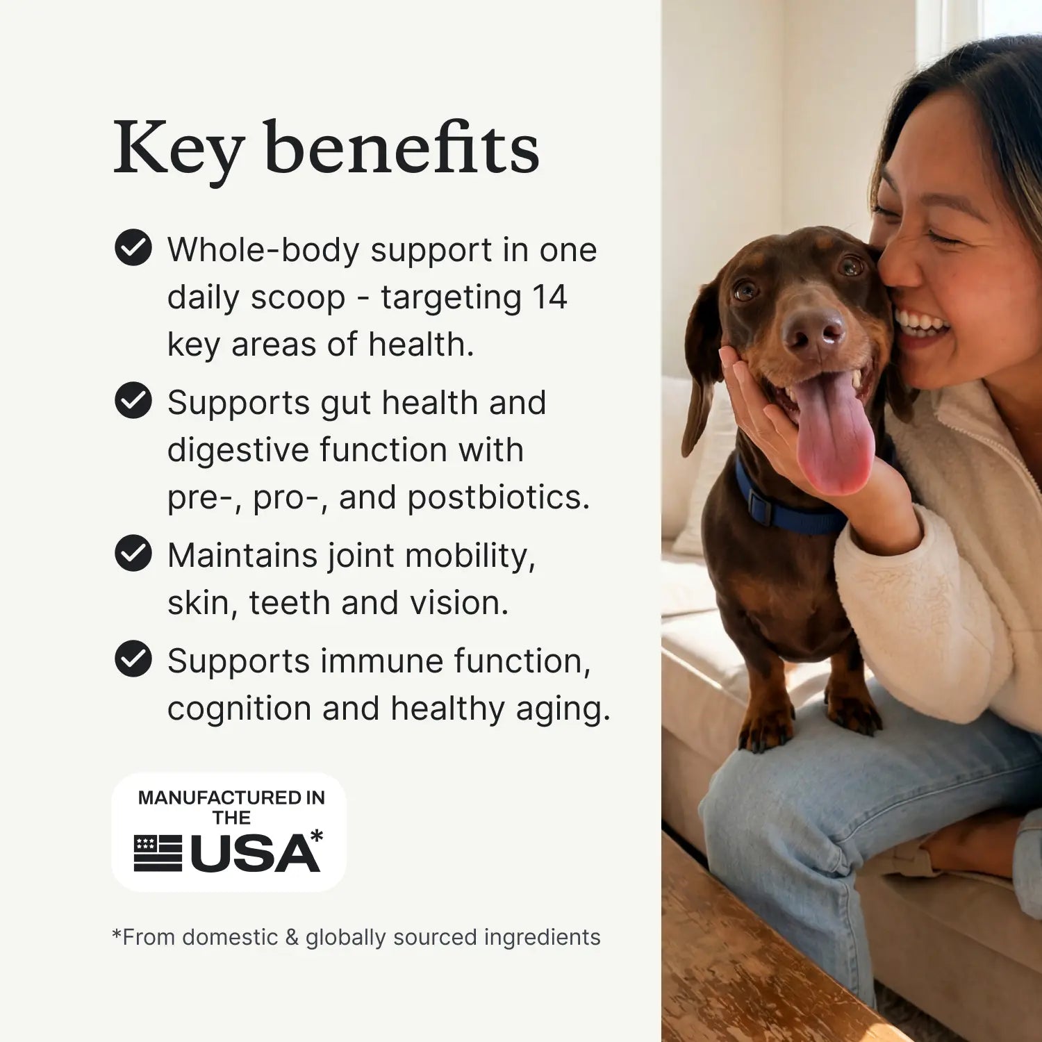 DF-14 Daily Foundation: Comprehensive 14-in-1 Dog Supplement Powder for Simplified Longevity Support with One Daily Scoop