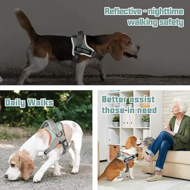 Auroth No-Pull Dog Harness with Adjustable Straps - Soft Padded Safety Vest for Dogs, Reflective Design, Easy On & Off, Perfect for Walking and Training, Suitable for Small, Medium, and Large Breeds