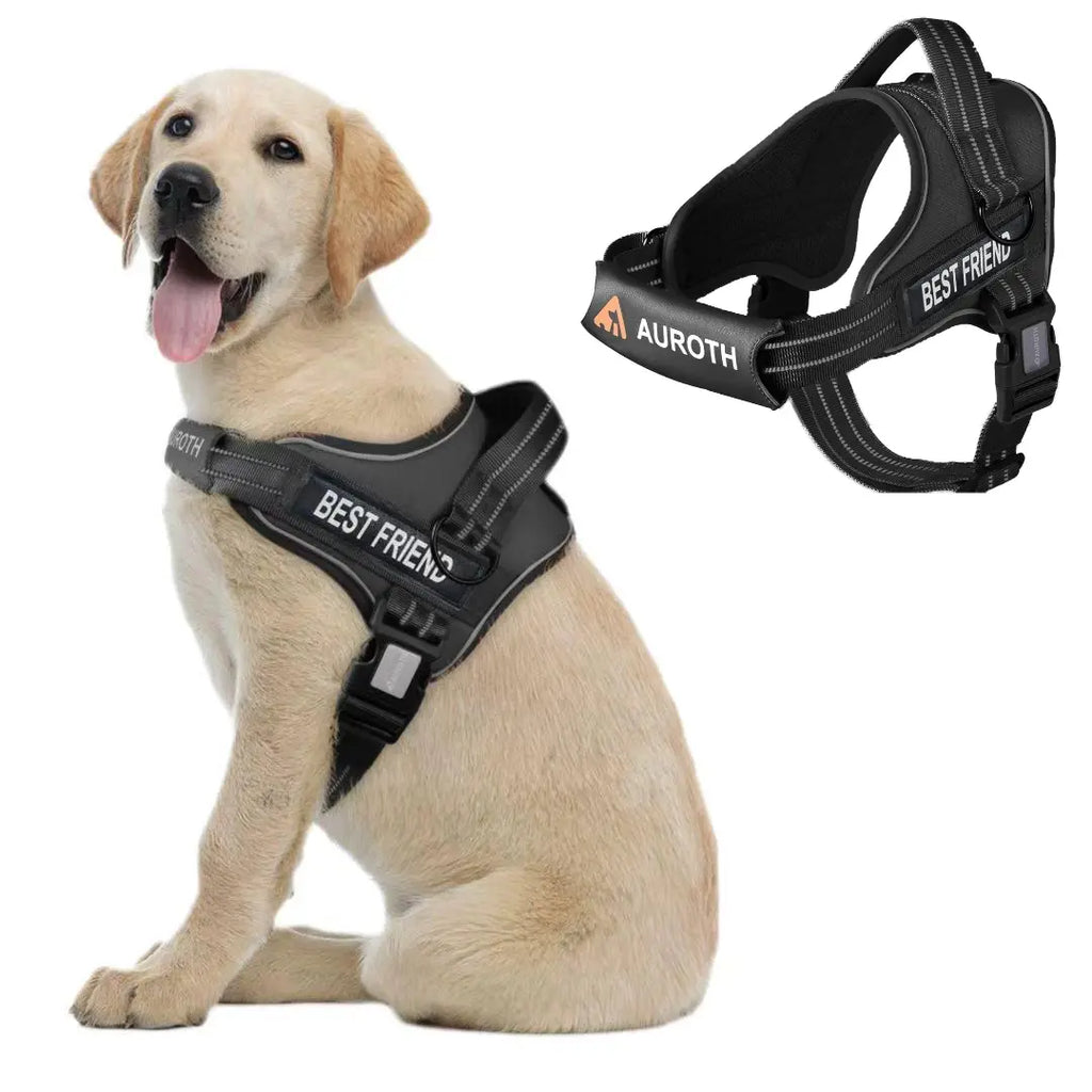 Auroth No-Pull Dog Harness with Adjustable Straps - Soft Padded Safety Vest for Dogs, Reflective Design, Easy On & Off, Perfect for Walking and Training, Suitable for Small, Medium, and Large Breeds