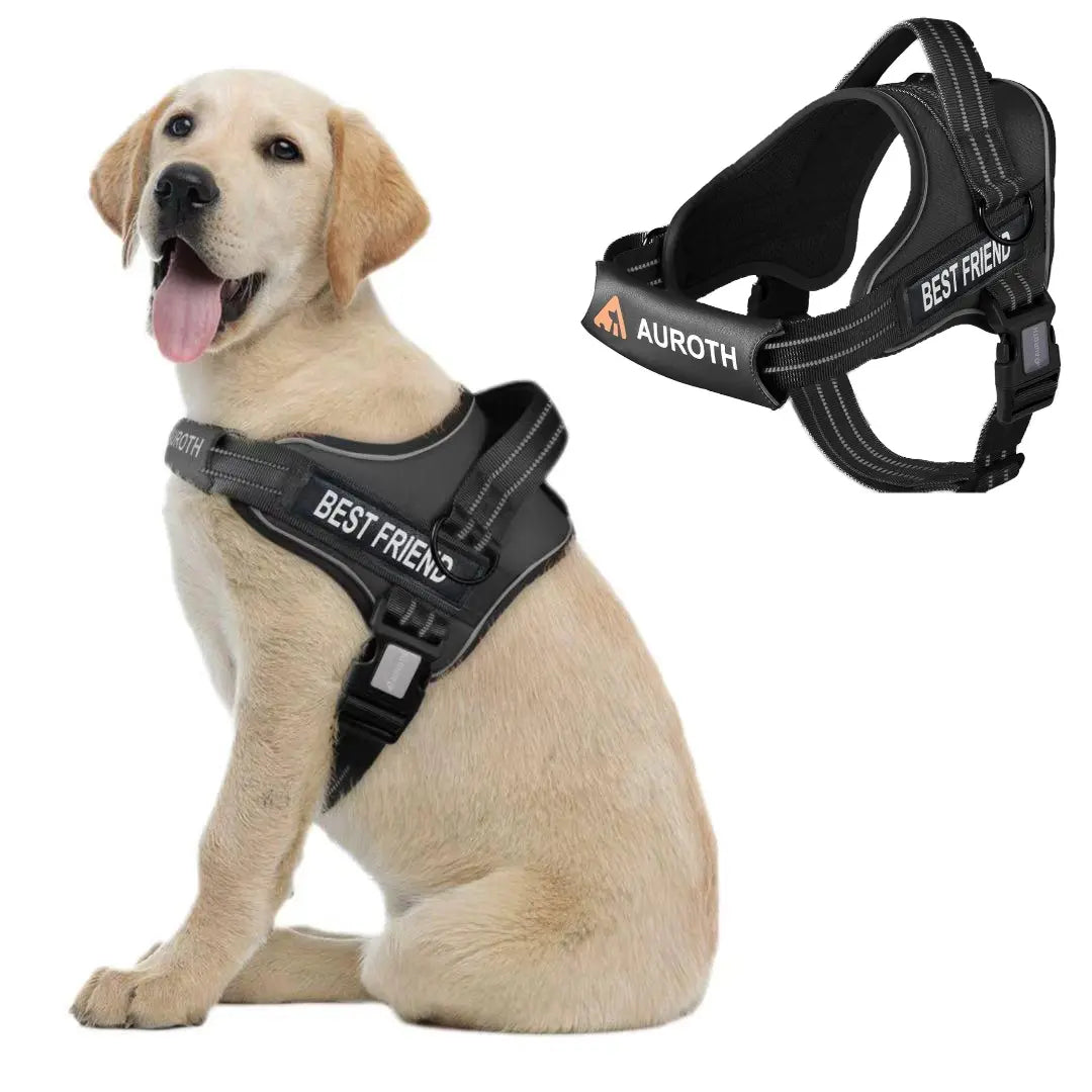 Auroth No-Pull Dog Harness with Adjustable Straps - Soft Padded Safety Vest for Dogs, Reflective Design, Easy On & Off, Perfect for Walking and Training, Suitable for Small, Medium, and Large Breeds